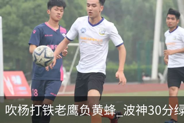 吹杨打铁老鹰负黄蜂 波神30分绿军险胜尼克斯